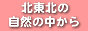 Yi ͂܂